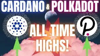 Cardano & Polkadot Hit New All Time Highs - What's Next?