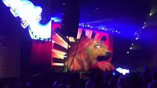 Life In Color Sandiego 2016
