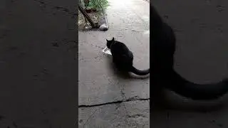 У принцесс трудная и сложная жизнь.