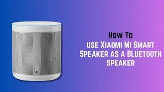 How to use Xiaomi Mi Smart Speaker as a Bluetooth speaker