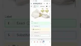 Search Relevance Evaluation (English)0.10 new task