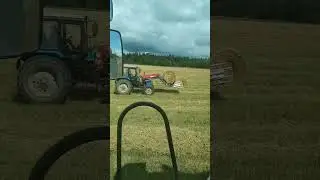 6 августа 2024 г.