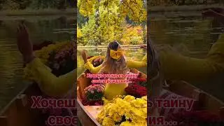 Как найти предназначение своей жизни/таланты/ключи судьбы/кармические задачи /описание ⬆️