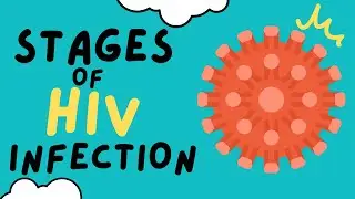 THE 3 STAGES OF HIV INFECTION - EXPLAINED IN UNDER 5 MINUTES