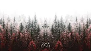 UOAK - In My Mind (Extended Mix)