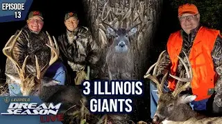 Late Season Persistence Pays Off With 3 Illinois Giants | Dream Season Live