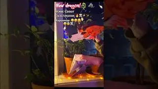 Да, и это теперь у меня кста главный дракон) #эдит#рек#dragonpuppet#драконынаруку#RuloPROwolf