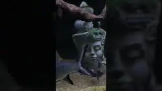 Insane Aquarium Mix Reveals Powerful Predator Living with Prey
