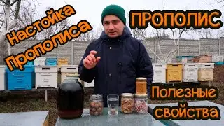 ✅ Propolis | ➤[Propolis tincture] | ✎How to use | ➤Beneficial properties