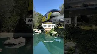 What Disney’s Disappearing Boats Taught Us 