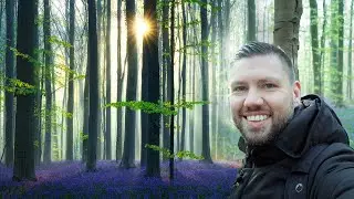 Bosfotografie met een mistige ochtend in het Hallerbos (Bois de Hal)