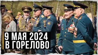 День Великой Победы. 9 мая в Горелово: впечатления, память и гордость