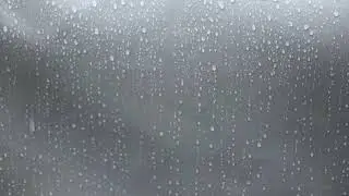 Rainy