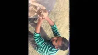 PV Ravi playing with sweet pet