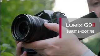 LUMIX G9II | Burst modes