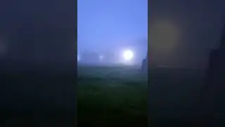 Для полной картины только ёжика не хватает 