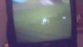 Harvest Moon: Save the Homeland Glitch