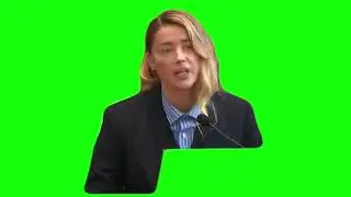 “My Dog Stepped on a Bee” – Green Screen