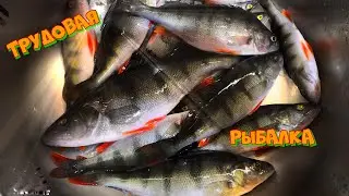 Трудовая рыбалка в плохую погоду. Отличный окунь на Онежском озере. Зимняя рыбалка 2023.