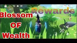 Collect Rewards From Blossom of wealth  Genshin impact