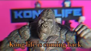 Kong life is coming back #konglife