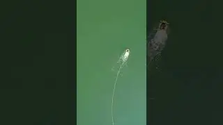 Подводный квадрокоптер 
