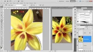 Flower Painting 003 Background