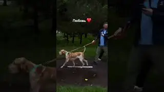 Белгород