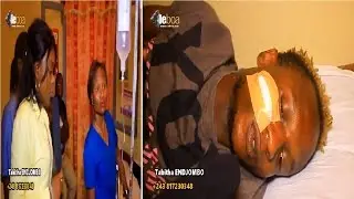 Ba panzi POMBA elongi pe ba lingaki ba boma ye. Bo landa banani basali ye bongo