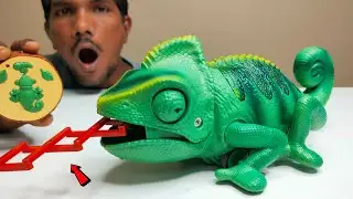 RC Realistic Prank Chameleon Lizard Unboxing & Testing - Chatpat toy tv