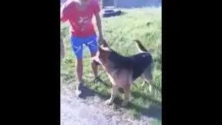 Апорт за кирпичом