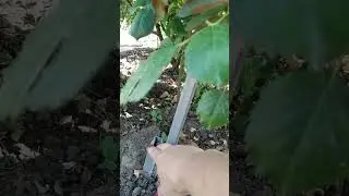 Опоры 