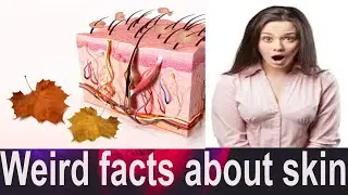 Weird facts about skin  #facts #youtube #weirdfacts