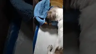 Pertama 1:49 AM