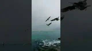 Морее 🌊 23 декабря 2023