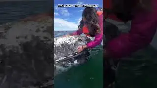 Relaxing video and music