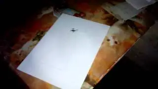 Вызываем ЕГИПЕТСКОГО КОТА!! ПРАВДА!