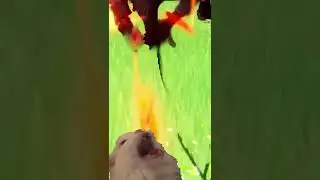 Genshin Players Accessing Private Servers Be Like 