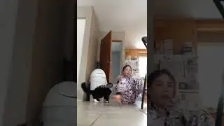 котик убийца хотел убить девушку