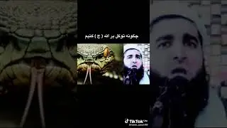 МАВЛАВИ АХМАД ФИРУЗ БЕХТАРИН МАВИЪИЗА