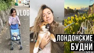 VLOG: ПОРА ЗАНЯТЬСЯ ВИНОДЕЛИЕМ 😀🍇