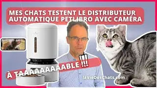 MES CHATS TESTENT LE DISTRIBUTEUR AUTOMATIQUE PETLIBRO AVEC CAMÉRA