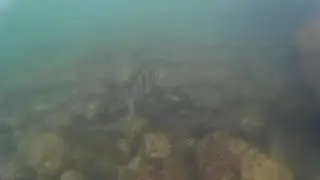 2016 0119 205757 001