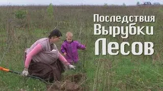 Как восстановить обмелевшие реки и плодородие почвы?