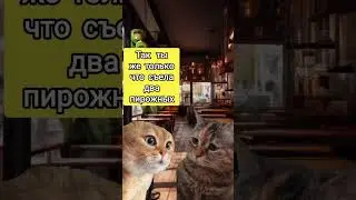 Диета #животные #animals #animal #мем #pet #мемныекоты #котыговорят #анекдот #коты #кот #юмор #котик
