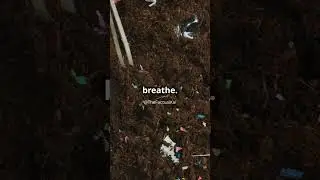 What are Microplastics? 🌊