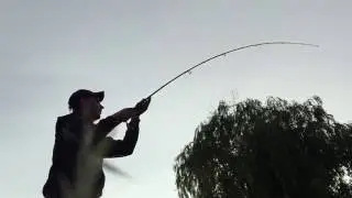 Толстолоб на спиннинг и силикон съедобный Ballist от lucky John. Monster river fish.