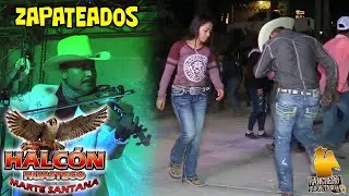 Halcón Huasteco - El Violin Alegre Pavido navido y lejos de mi tierra