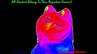 Get Out Frog has a Sparta Remix
