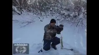 Щука на балансир